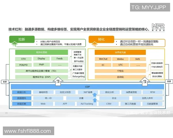 深度分析V5战队的运营策略与战术布局全景解读