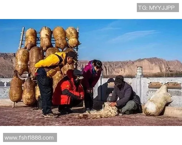 科学极限运动中的心理素质提升策略与训练方法探讨